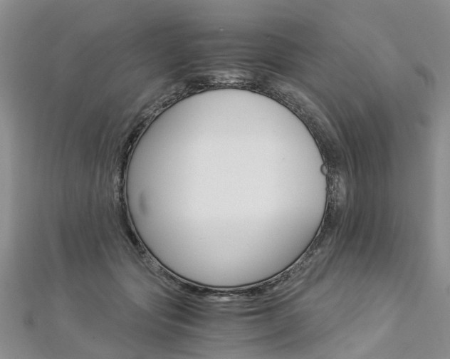 X0000112880557200908211054