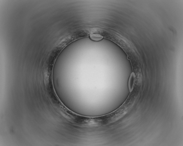 X0000112880558200908211054