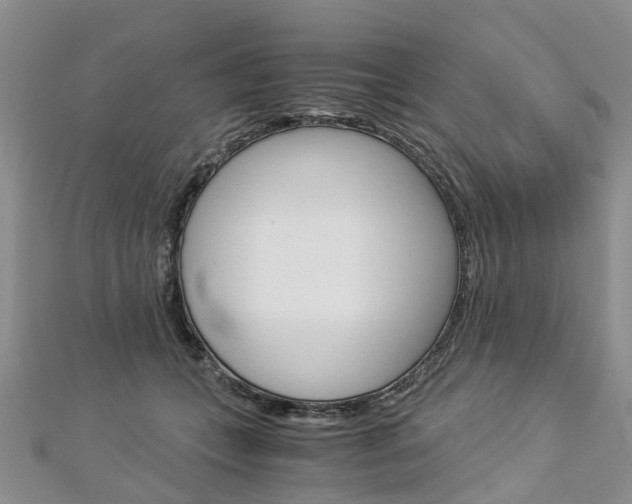 X0000112880559200908211054