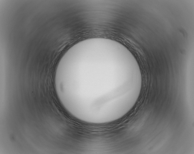 X0000112880560200908211054