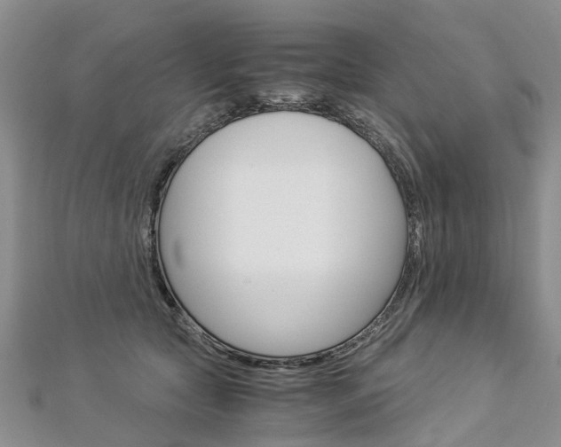 X0000112880561200908211054