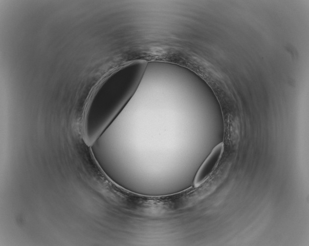 X0000112880562200908211054