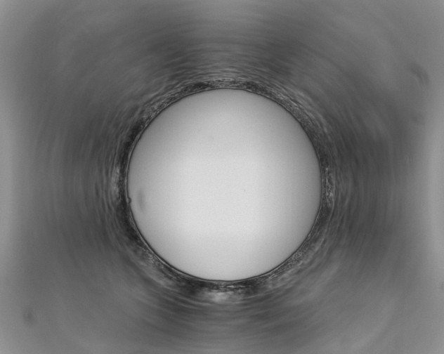 X0000112880563200908211054