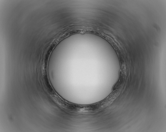 X0000112880564200908211054