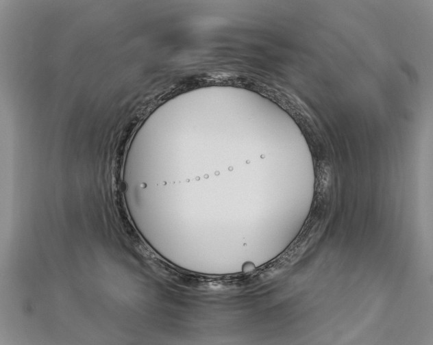 X0000112880565200908211054