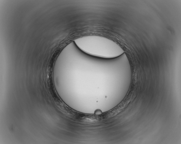 X0000112880567200908211054