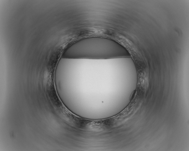 X0000112880568200908211054