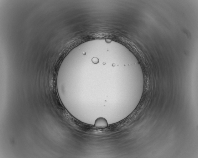 X0000112880569200908211054