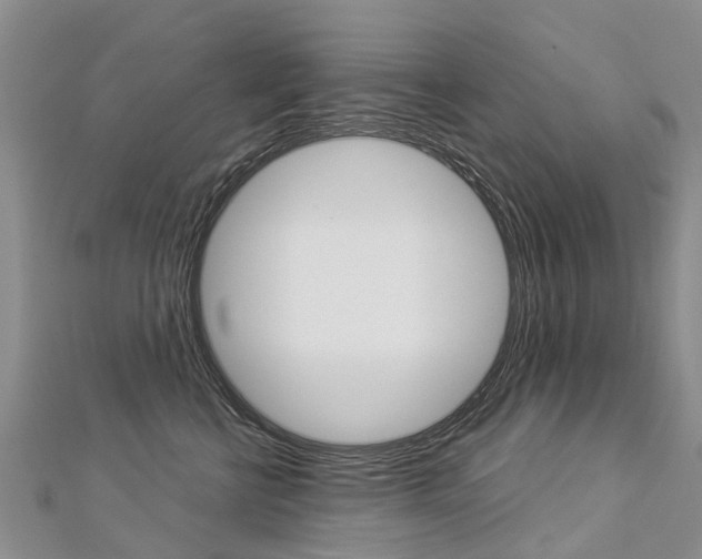 X0000112880570200908211054