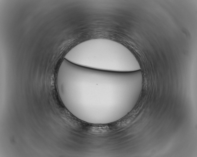 X0000112880571200908211054