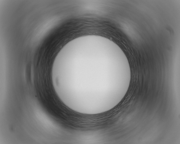 X0000112880572200908211054