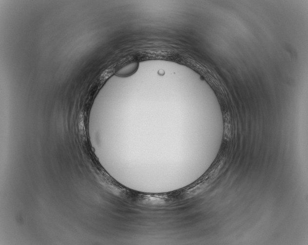 X0000112880573200908211054