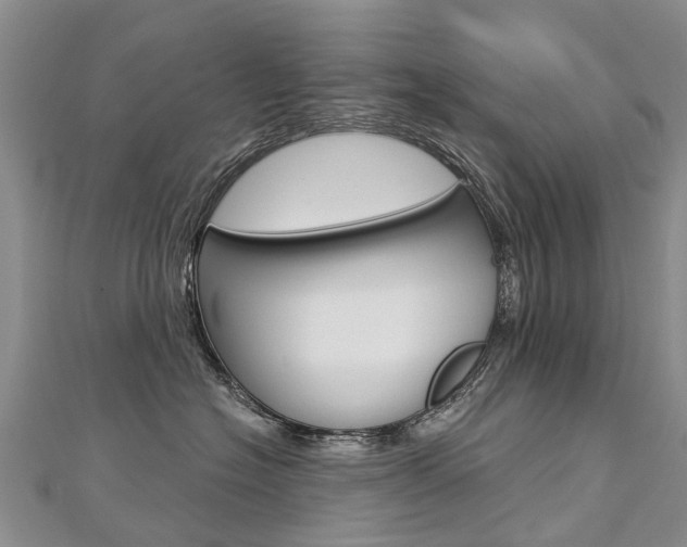 X0000112880574200908211054