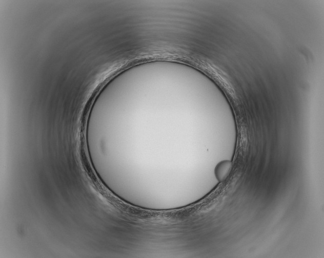 X0000112880578200908211053