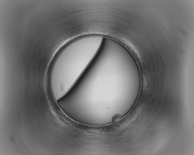 X0000112880580200908211053