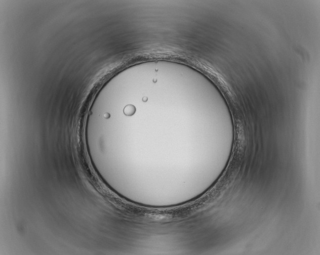 X0000112880582200908211053