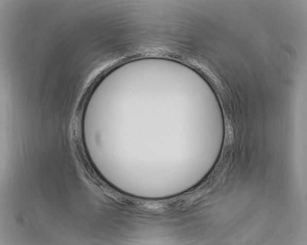 X0000112880583200908211053