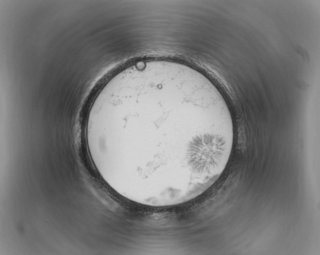 X0000112880584200908211053