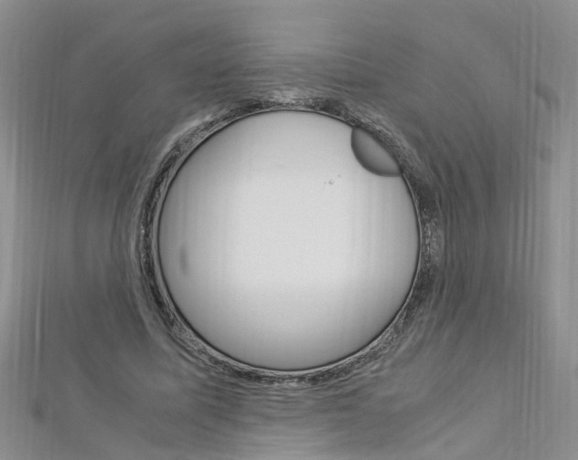 X0000112880587200908211053