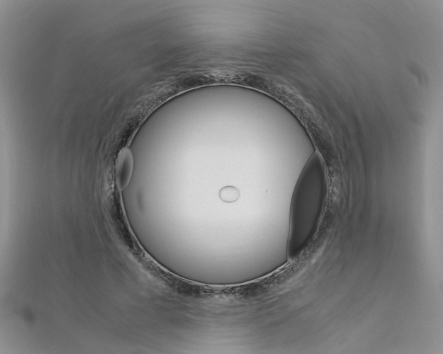 X0000112880593200908211053