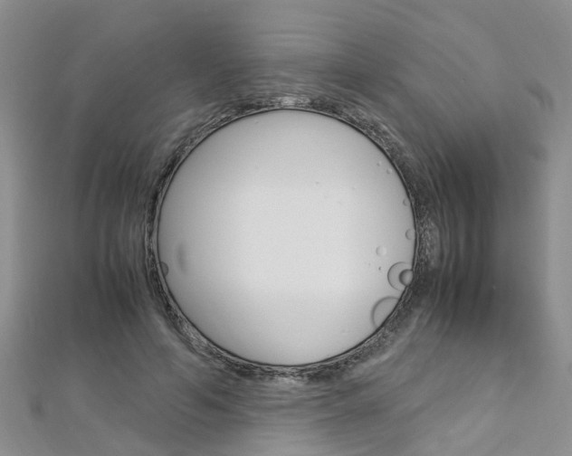 X0000112880594200908211053