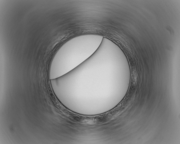 X0000112880595200908211053