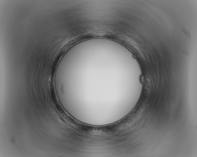 X0000112880596200908211053