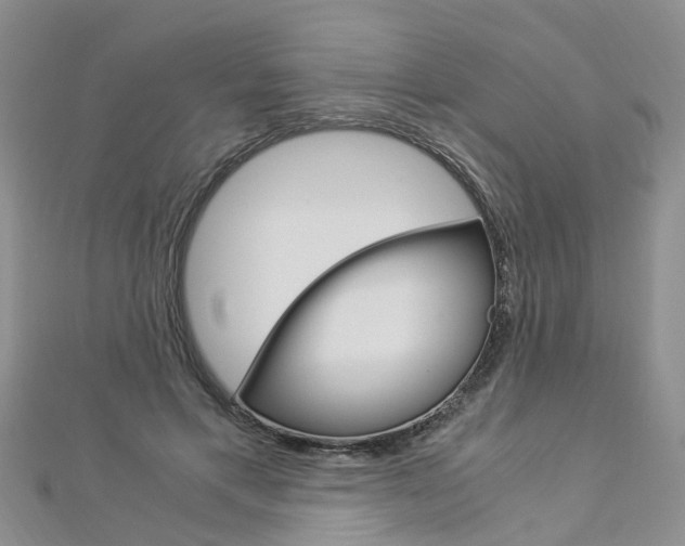 X0000112880597200908211053