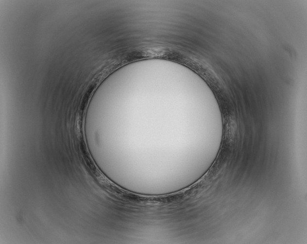 X0000112880598200908211053