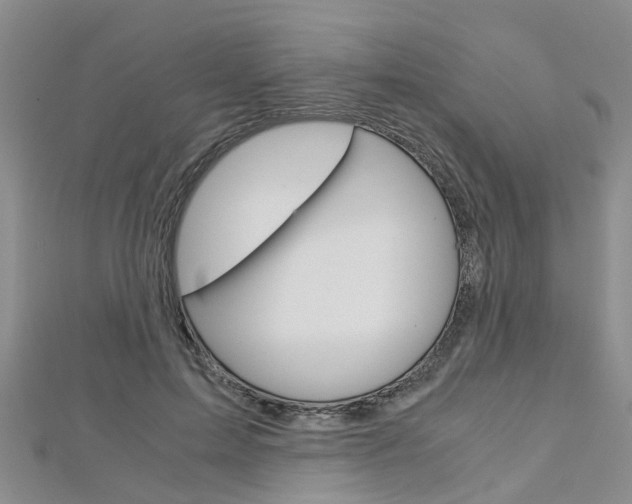 X0000112880599200908211053