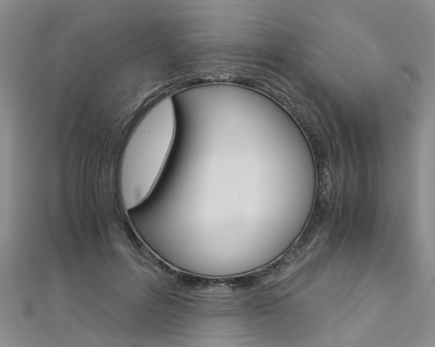 X0000112880600200908211053