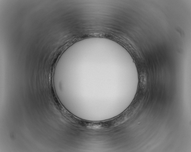 X0000112880602200908211053