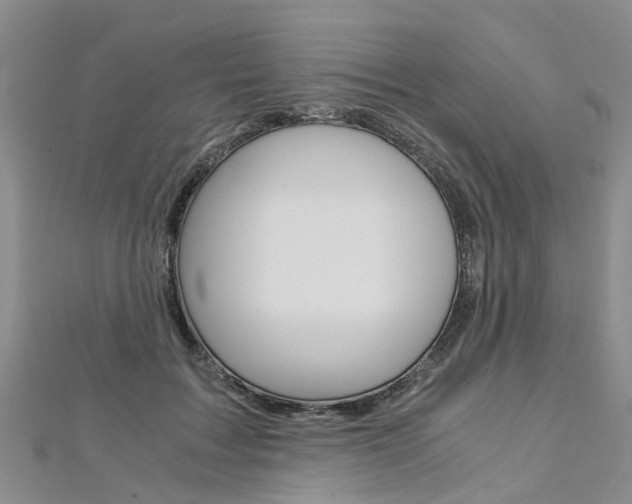 X0000112880603200908211053