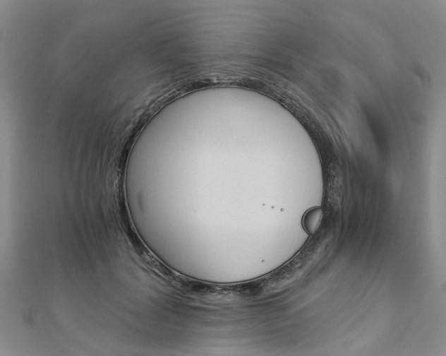 X0000112880604200908211053