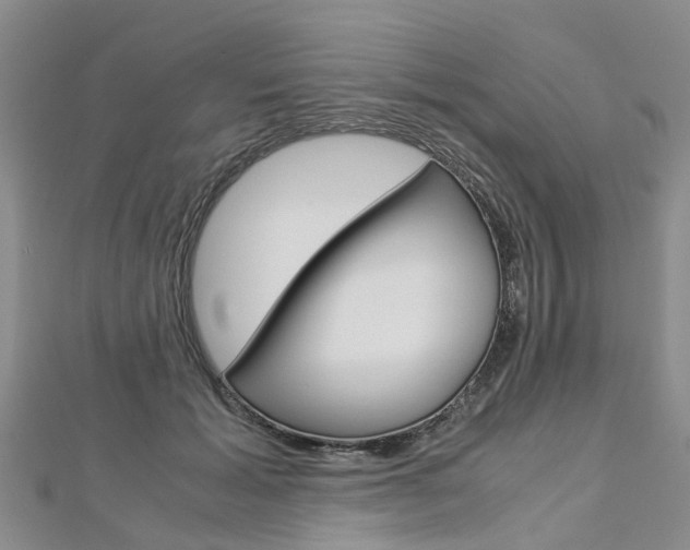 X0000112880605200908211053