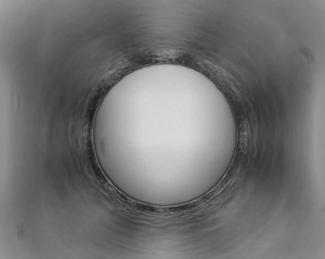 X0000112880608200908211053