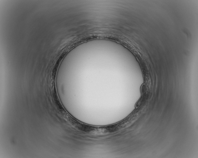 X0000112880609200908211053