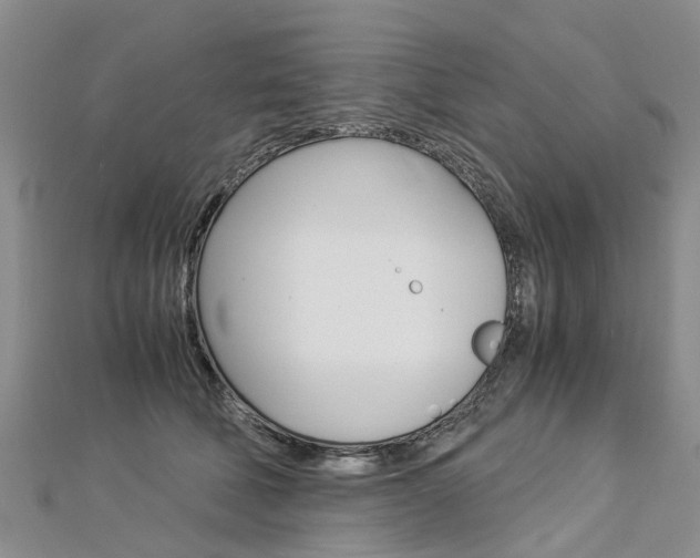 X0000112880610200908211053