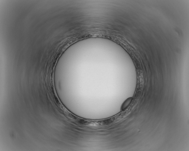 X0000112880611200908211053