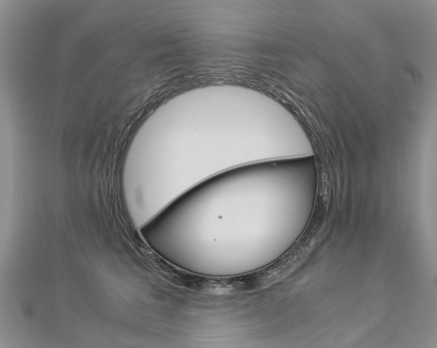 X0000112880613200908211053