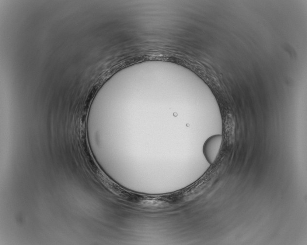 X0000112880614200908211053