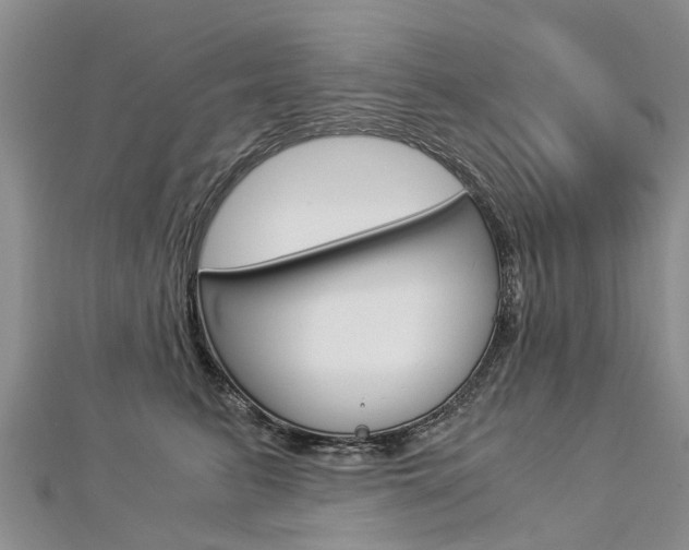 X0000112880615200908211053