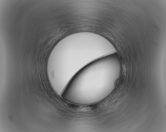 X0000112880617200908211053