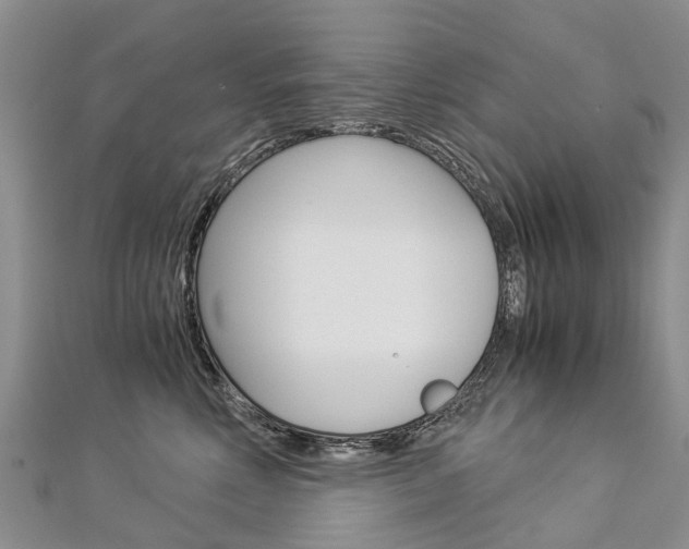 X0000112880618200908211053