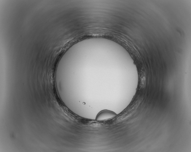 X0000112880620200908211053