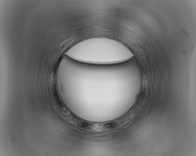 X0000112880623200908211052