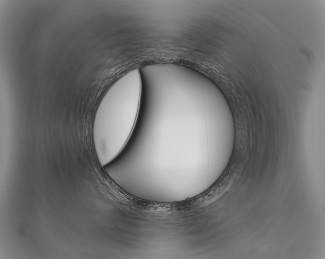 X0000112880624200908211052