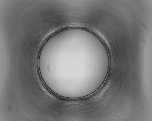 X0000112880625200908211052