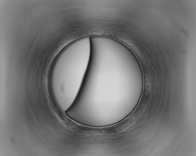 X0000112880626200908211052