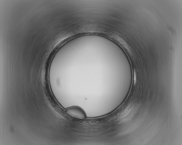 X0000112880627200908211052